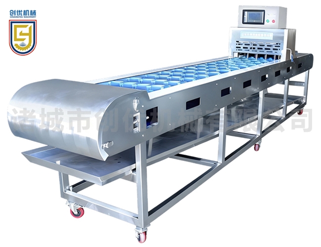 4-blade edge trimming machine CY4280SF