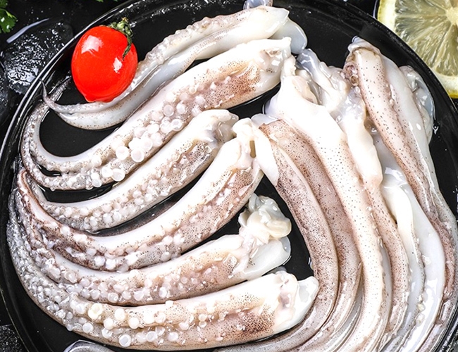 Octopus tentacles